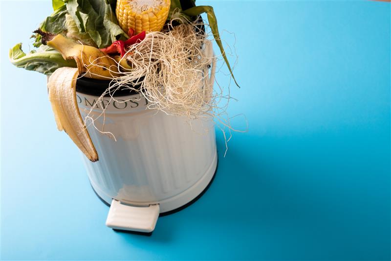 Upcycling food waste streams into functional ingredients