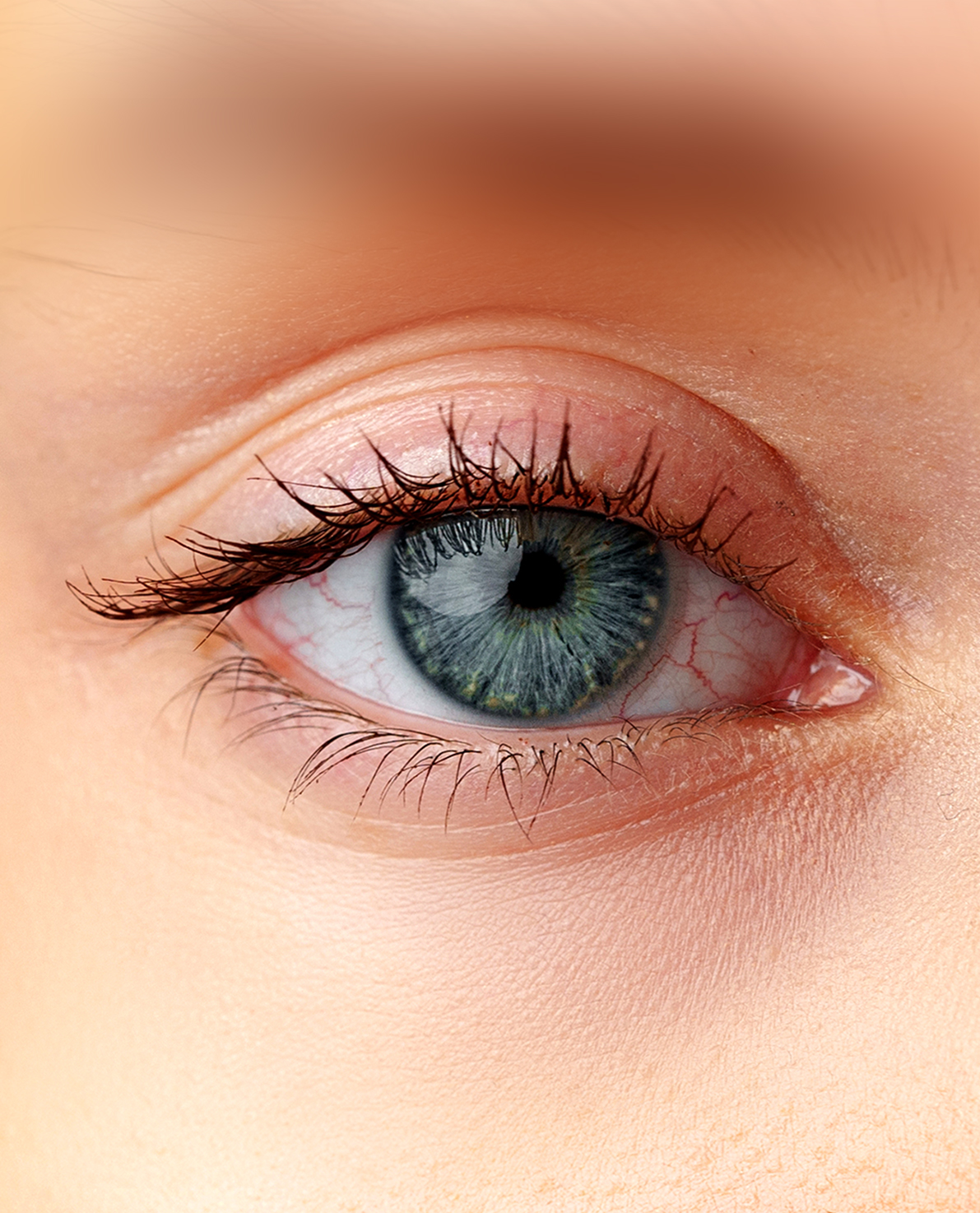 Competitive & Market Intelligence